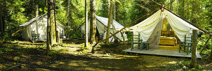 Three large glamping tents in the forest