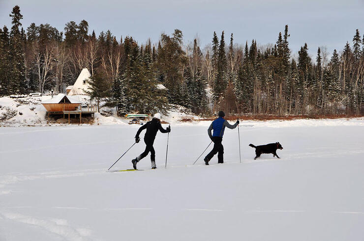 two people cross country skiing with a dog in winter