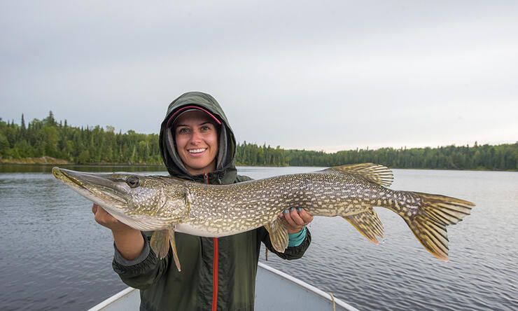 Fly Fishing for Muskie, Northern Pike and Smallmouth Bass Ontario