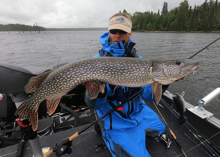 Northern Pike2