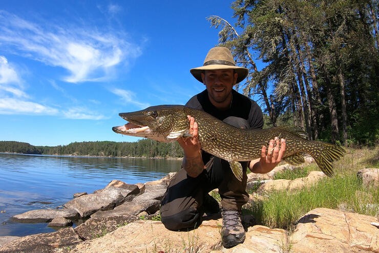 Person holding up large pike on shore.