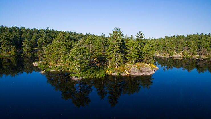 Aerial shot of yellow canoes on a tree covered island.