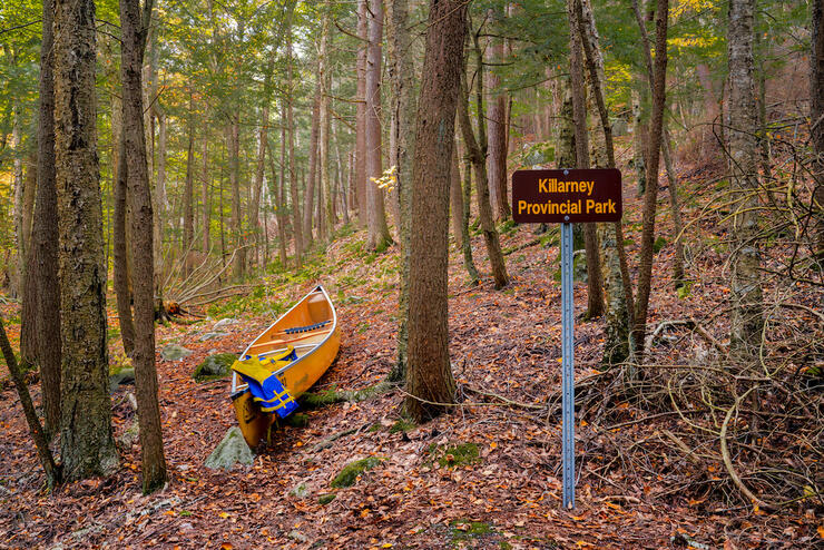 Canoe on leaf-covered portage trail
