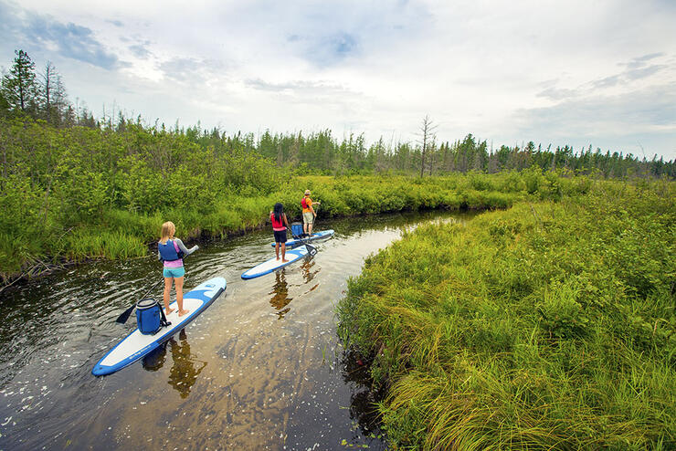 Group of paddleboarders along a grassy riverbank