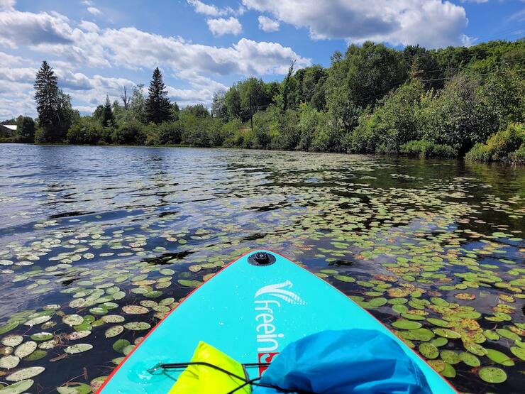 Bow shot from a teal-coloured paddleboard on a lilypad-covered lake