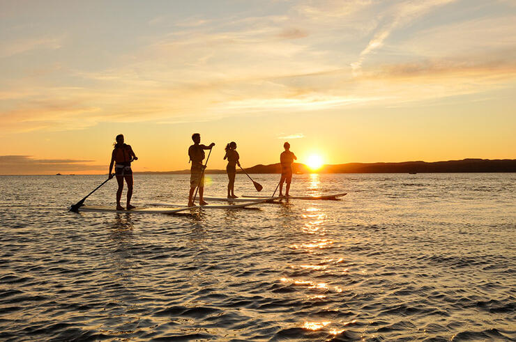 People paddleboarding at sunset