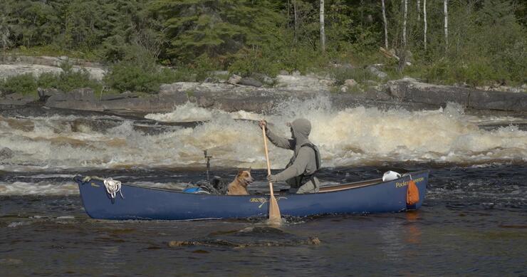 Man paddles canoe with two dogs in it beside whitewater.