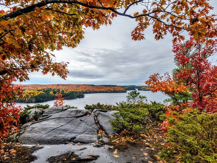 Looking out from a lookout over fall foliage