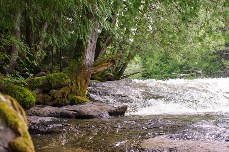 Pete Maina's Favourite Muskie Lake to Fish