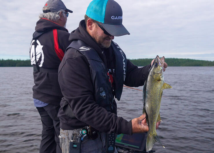 Hard Balling Walleyes: Tips Ontario Walleye Fishing