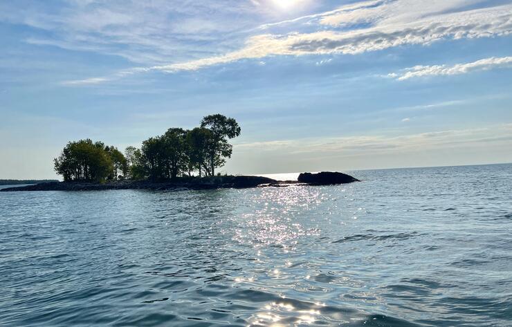 New tracker boat opinions - This Old Boat - Lake Ontario United - Lake  Ontario's Largest Fishing & Hunting Community - New York and Ontario Canada