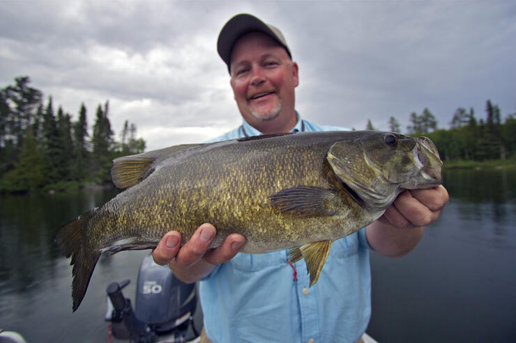 Fishing a Nikko Hellgrammite on the River - Big Smallmouth Bass & Northern  Pike 