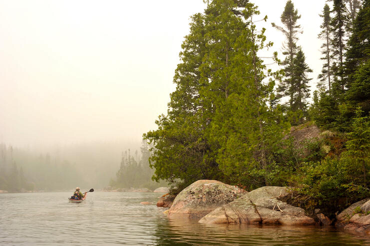 Kayaker next to shore on a misty day.