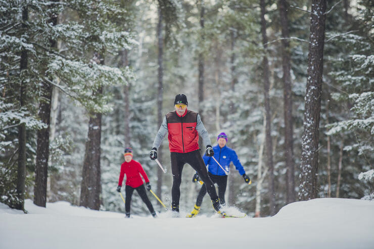 Three people cross-country skiing in snowy forest