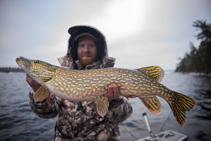 angler holding pike