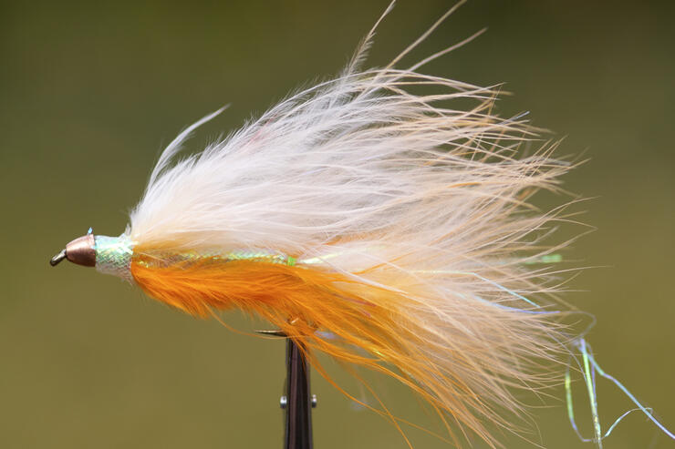 Get 2 boxes and get 10 of our most popular flies FREE