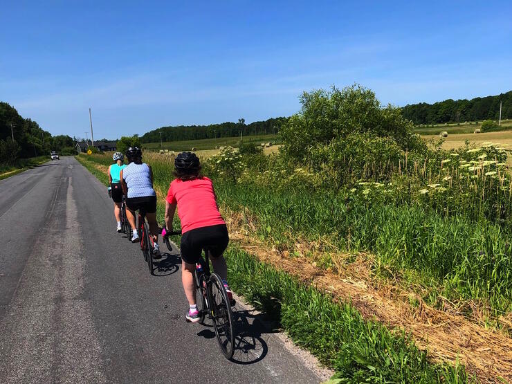 Three cyclists riding on a country road.