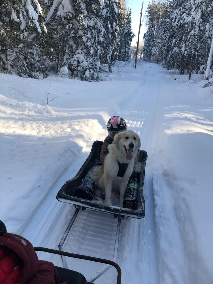 Ten reasons to go ice fishing this winter, and where it happens