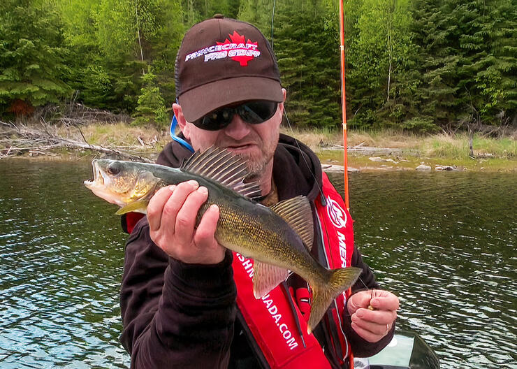 angler fishing walleye