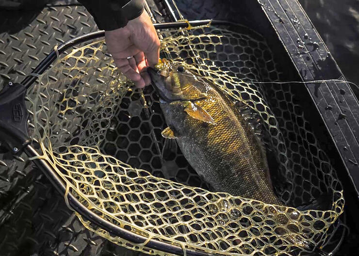 Smallmouth Fishing After a Northern Ontario Cold Front