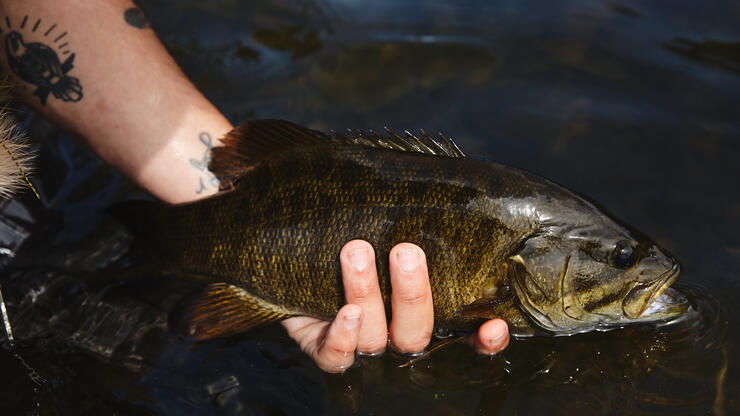 Fall Fishing in Northeastern Ontario