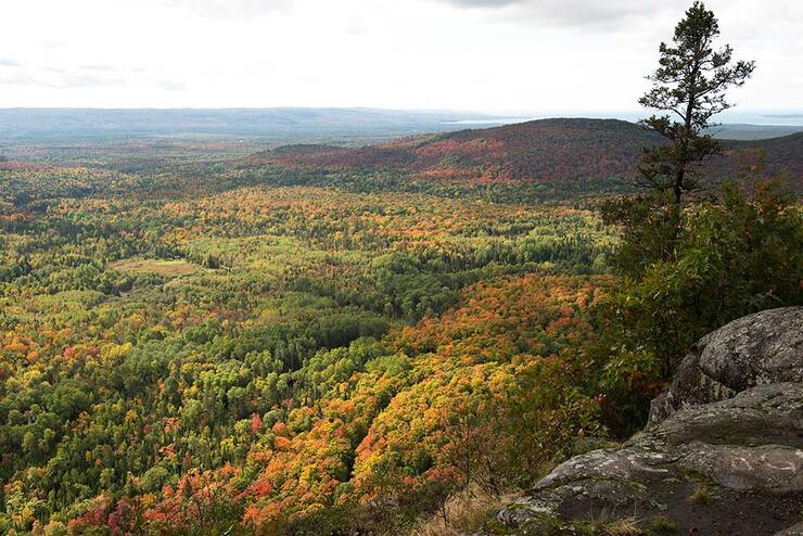 algoma highlands