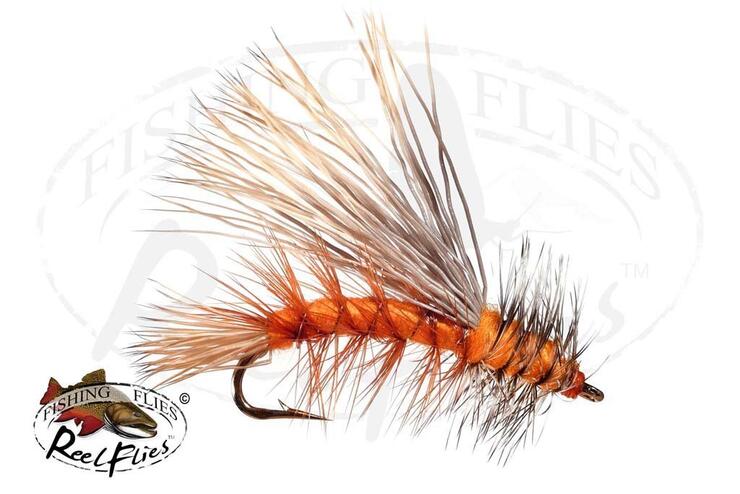 Top 5 Flies for Brook Trout