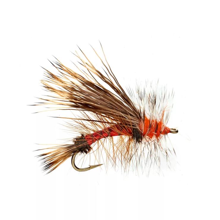 Top 10 Fly Patterns for Ontario Brook Trout