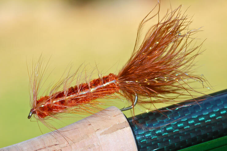 Subsurface Smallmouth On A Fly