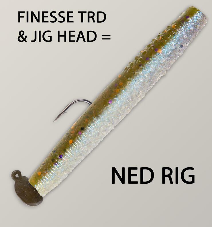ned-rig