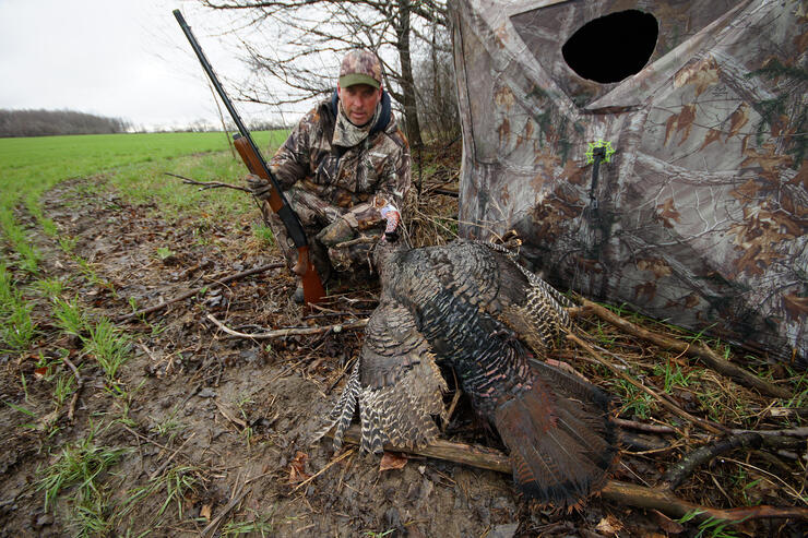 turkey blind