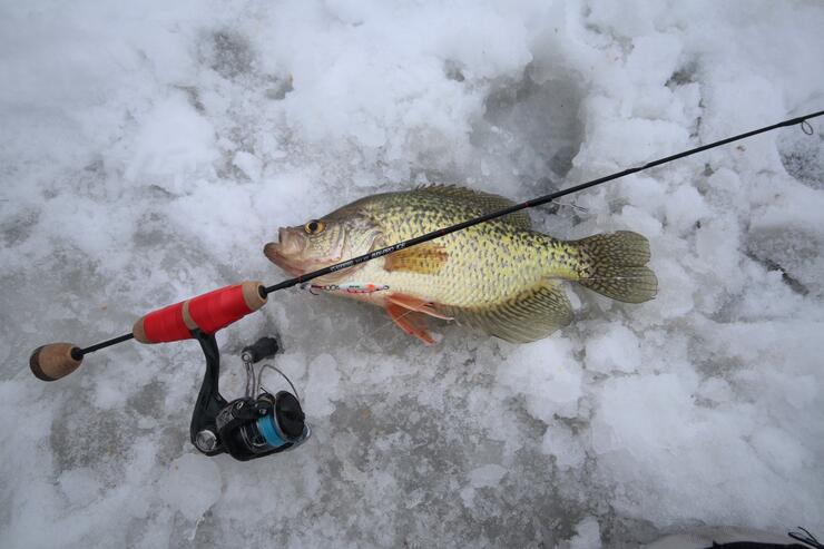 Ice Spoons for Early Ice Crappies