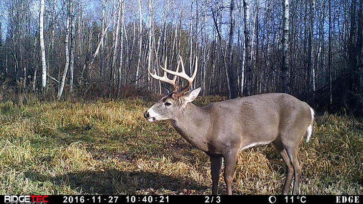 Game Cam 2