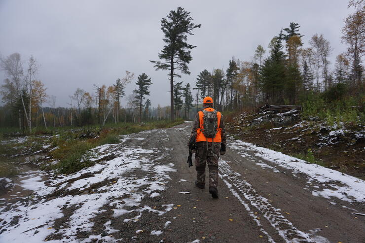 hunting moose