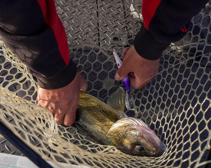 2 anglers