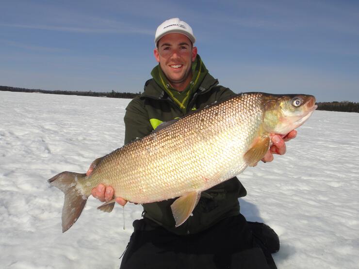 Last trip ice fishing lake Simcoe for 2022! Big fish caught using  Livescope! #truenorthbaits 