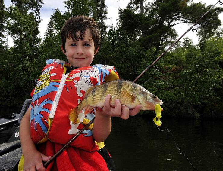 Driftwood Outdoors: October crappie fishing is too good to miss