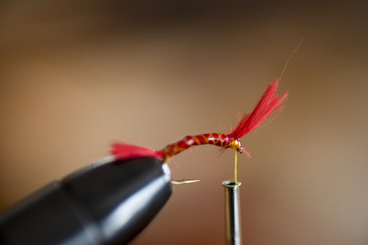 Fly Fishing for Muskie in Algoma Country