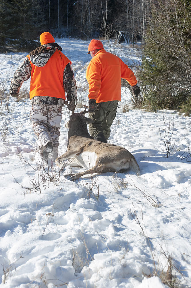 hunters with harvested deer
