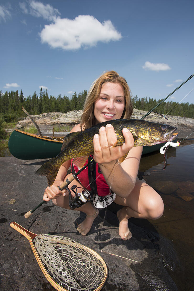 nice-walleye