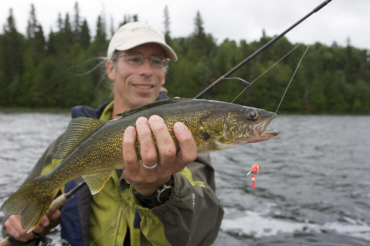 walleye-fishing