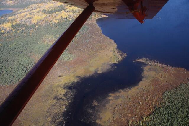 aerial view from floatplane