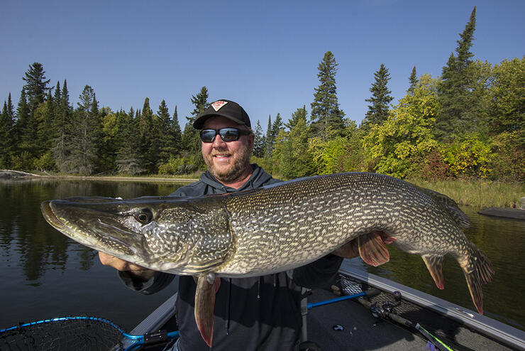 A Multispecies Mecca: Lake of the Woods