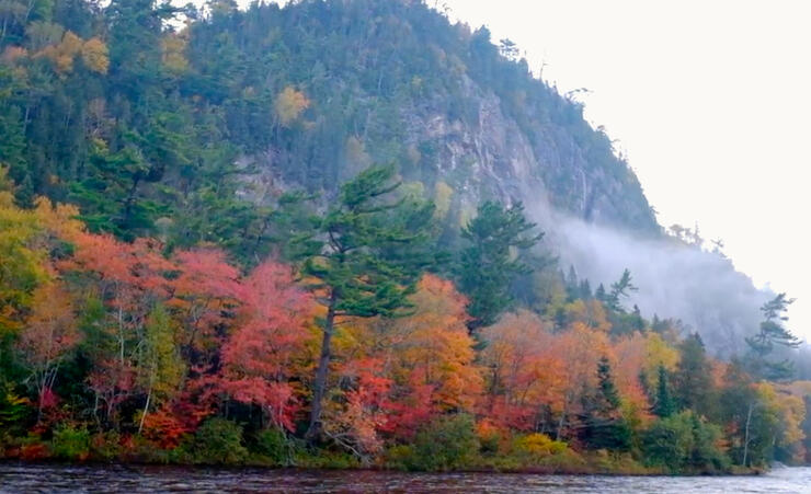 Towab trail clearance to agawa falls