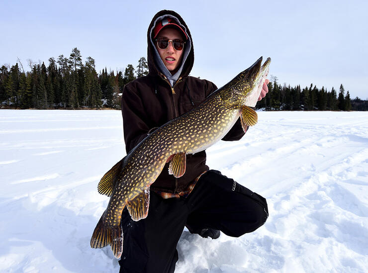 Early Bird Fishing: Pike Season on Lake of the Woods