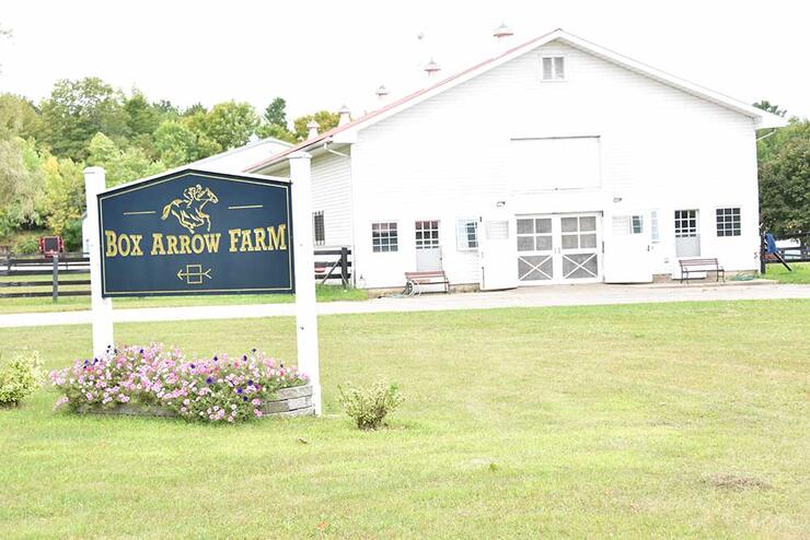 big arrow farm