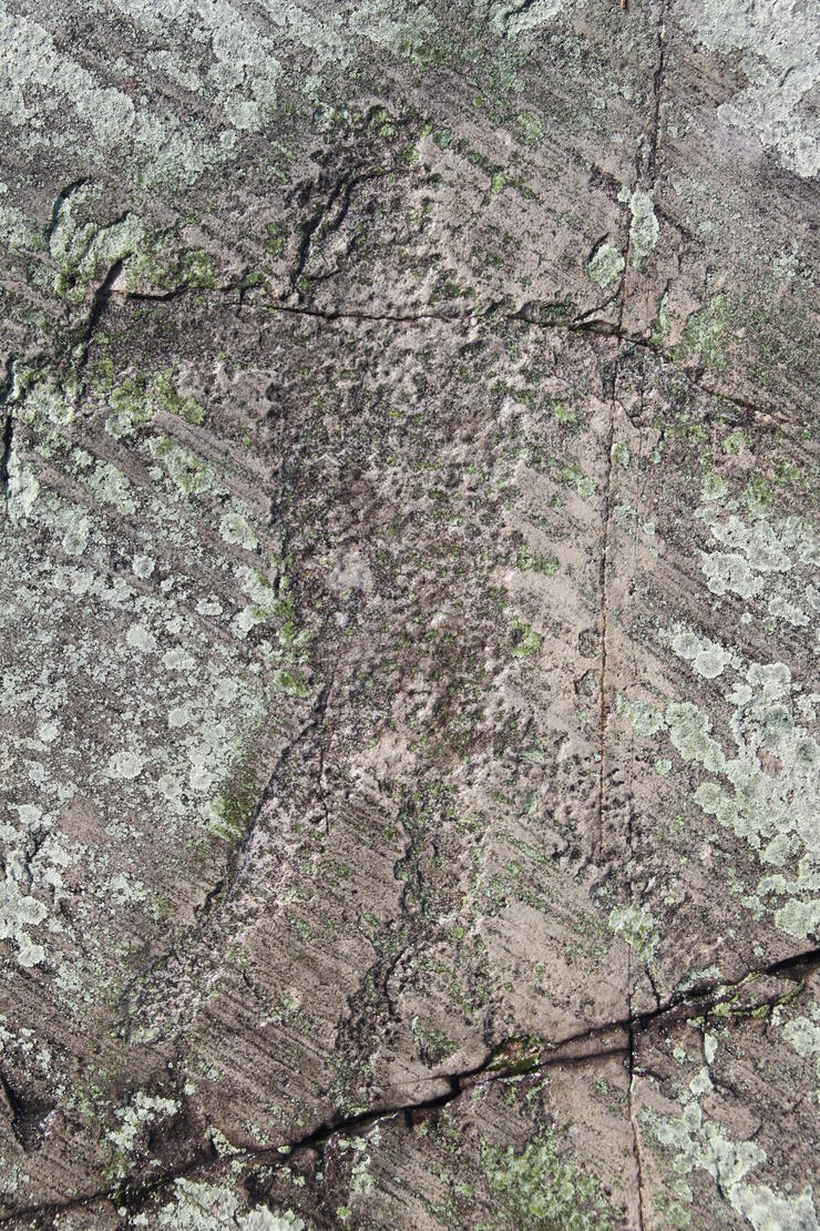 Petroglyphs – Temagami's Rare Works of Art | Northern Ontario Travel