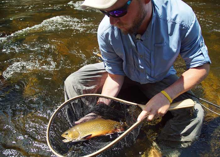 Blue Fox Camp: Fly-in Fishing for Big Brook Trout