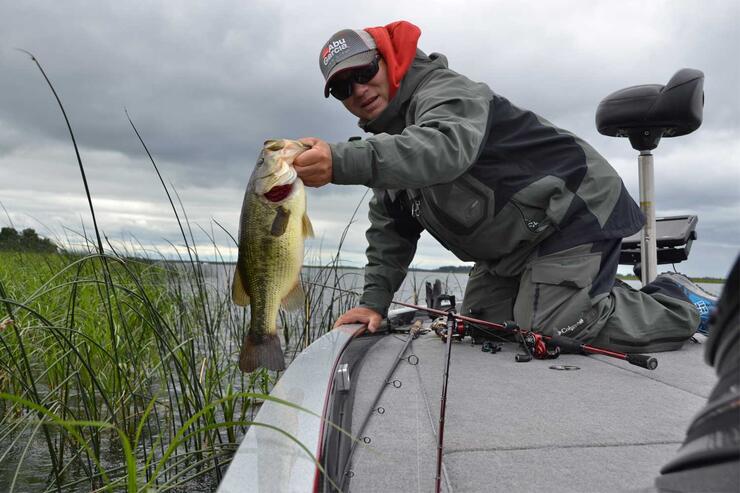 Consistent Shoreline Bass Fishing Pattern for Springtime Bass