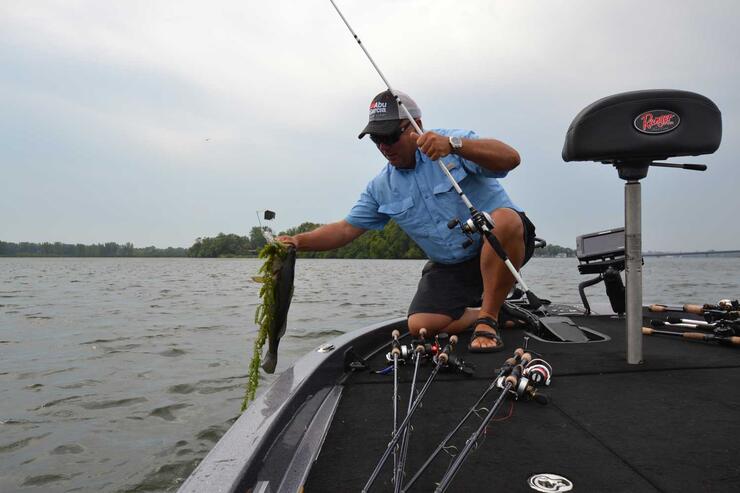 walleye fishing